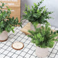 Mini Potted Artificial Plants - 3 pack