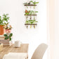 Wall Hanging Plant Propagation Station