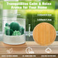 Cactus Terrarium Plant Candle