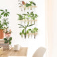 Wall Hanging Plant Propagation Station