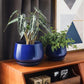 Ceramic Planter Set