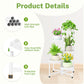 5 Tier Folding Plant Stand