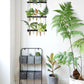 Wall Hanging Plant Propagation Station