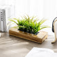 Faux Tabletop Plants