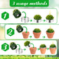 Succulent Cactus 18ea Tealight Candles