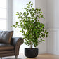 Artificial Ficus Tree & Planter