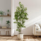 Artificial Ficus Tree & Planter