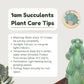 Boobie Cactus Live Plant - Myrtillocactus Geometrizans Fukurokuryuzinboku