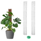 Plastic Moss Pole for Plants 24"