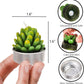 Cactus Tealight Candles