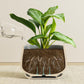 Ceramic Planter Set