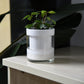Self Watering Planter Pot Terracotta and Glass