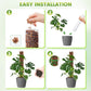 Plastic Moss Pole for Plants 24"