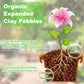 Organic Expanded Clay Pebbles for Plants | Leca