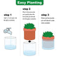 Self Watering Planter Pot Terracotta and Glass