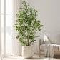 Artificial Ficus Tree & Planter