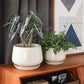 Ceramic Planter Set