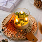 Cactus Terrarium Plant Candle