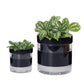 Self Watering Planter Pot Terracotta and Glass