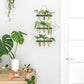 Wall Hanging Plant Propagation Station