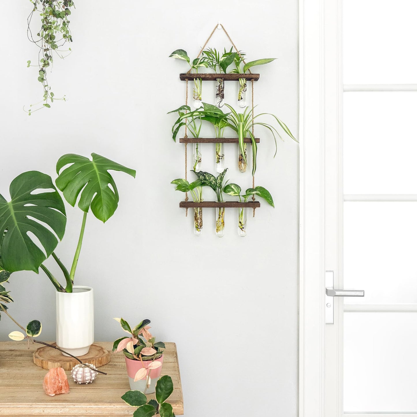 Wall Hanging Plant Propagation Station