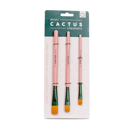 Mini Cactus Brush Set