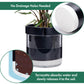 Self Watering Planter Pot Terracotta and Glass