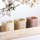 Scented Soy Candles Gift Set | Nature's Bloom Collection | 3 Scented Candles