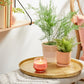 Yankee Candle Studio