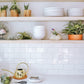 Double Hook Terrariums with Air Plants (Set 3)