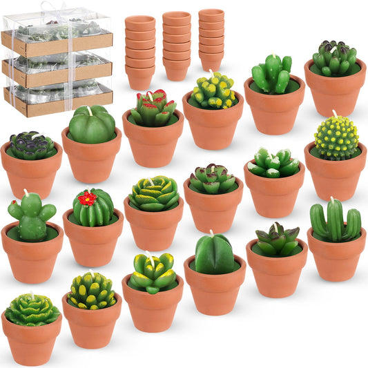 Succulent Cactus 18ea Tealight Candles
