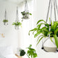 Mkono Macrame Plant Hanger Indoor Hanging Planter Basket with Wood Beads Decorative Flower Pot Holder No Tassels for Indoor Outdoor Boho Home Decor 35 Inch, Ivory, Set of 1 (POTS NOT Included)