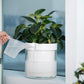 Self Watering Planter Pot Terracotta and Glass