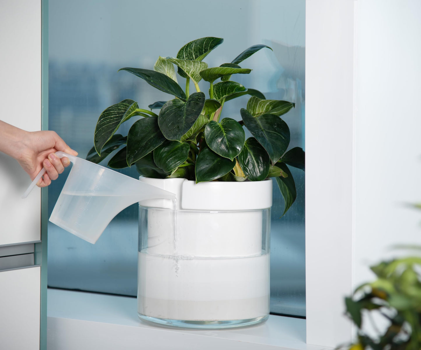 Self Watering Planter Pot Terracotta and Glass