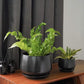 Ceramic Planter Set