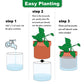 Self Watering Planter Pot Terracotta and Glass