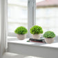 Set of 3 Small Artificial Plants