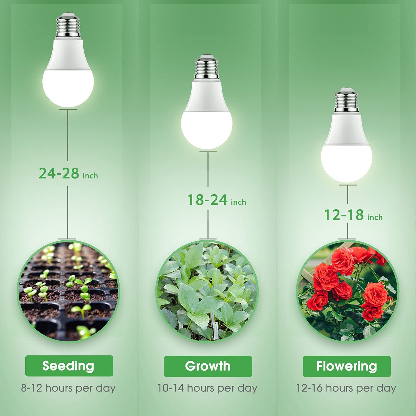 Grow Light Bulbs |  Full Spectrum