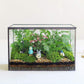 Glass Terrarium with Lid
