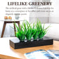 Faux Tabletop Plants