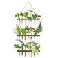 Wall Hanging Plant Propagation Station