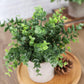 Mini Potted Artificial Plants - 3 pack