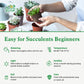 Sprout N Green Echeveria Minima, 1 Live Mini Succulent Plant Fully Rooted in 2 inch Starter Pot, Real House Plant for Indoor Outdoor Home Office Wedding Decoration Party Favor