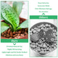 Organic Expanded Clay Pebbles for Plants | Leca