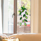 Stained Glass Window Hanging for Plant Lovers, Great Mothers Day Gift Handmade Green Plants Artificial,Suncatcher Plant Gifts for Women,Grandma,Mother's Day,Christmas
