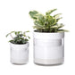 Self Watering Planter Pot Terracotta and Glass
