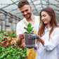 Clear Nursery Pots 12 Pack 4/5/6 Inch w/Tray