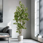 Artificial Ficus Tree & Planter