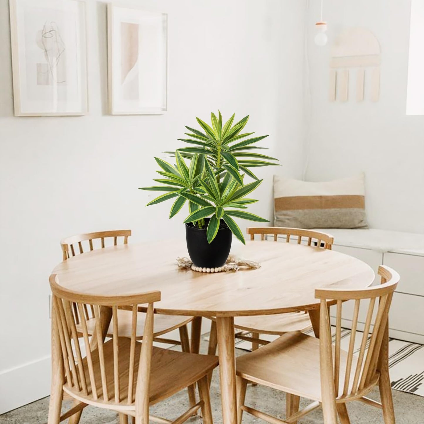 Dracaena Artificial Houseplant