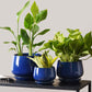 Ceramic Planter Set